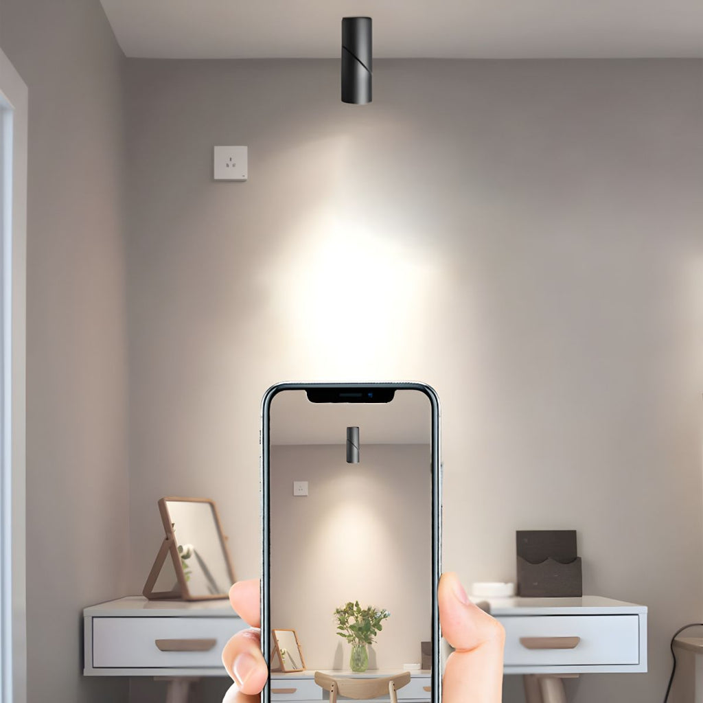 Ceiling Light Nordic Aluminum Cylinder Flush Mount | Lurvexa