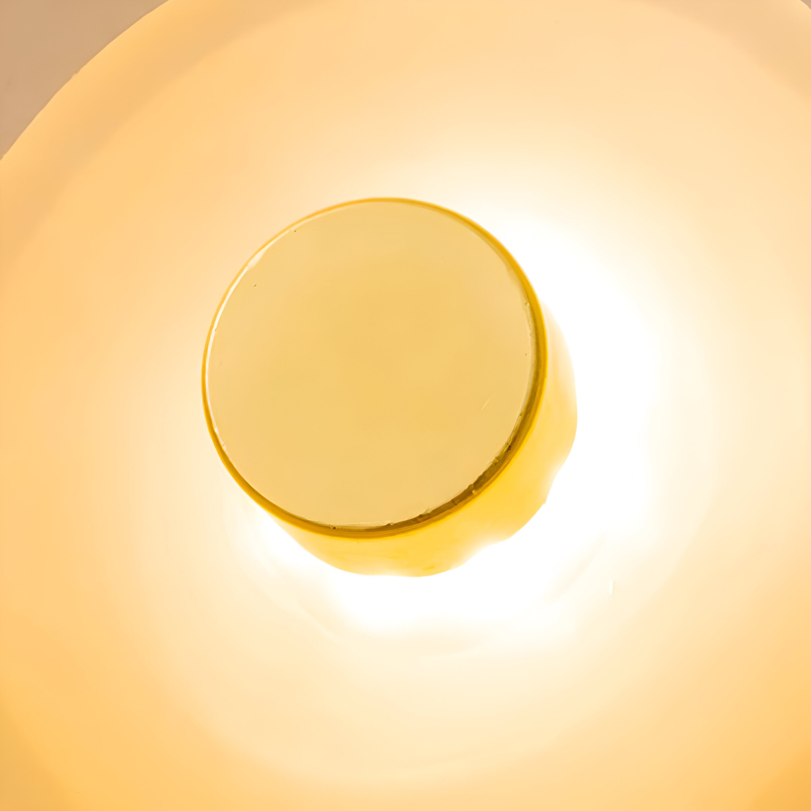 Curved Glass Wall Light in Nordic Japandi Style | Glazia