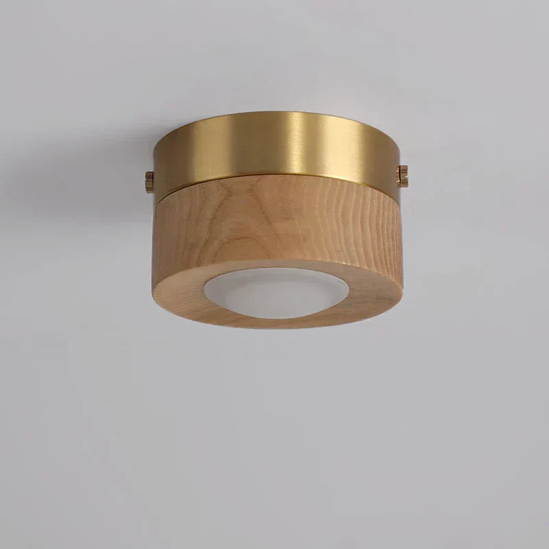 LED Ceiling Light in Walnut Wood with Spotlight | Novalum