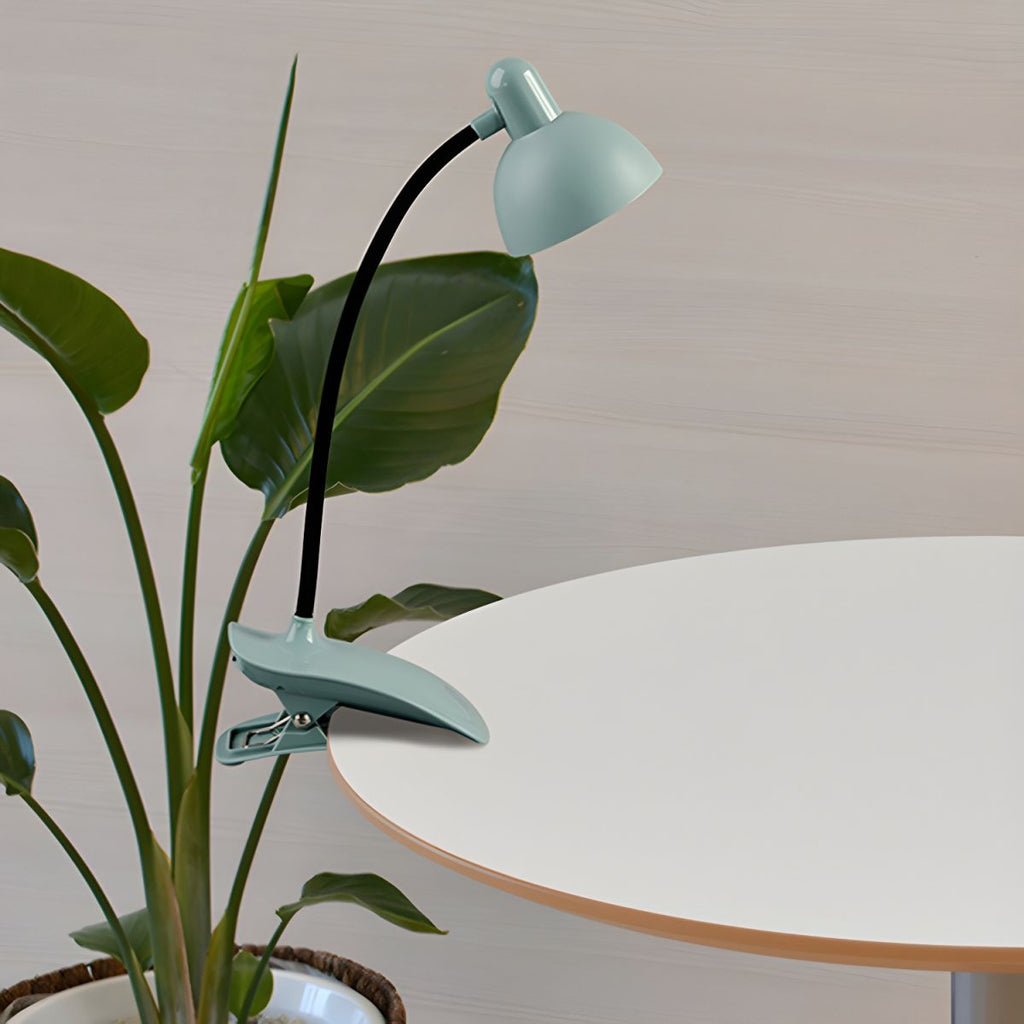 LED Clamp Lamp with Flexible Gooseneck Modern Style | Lumivo