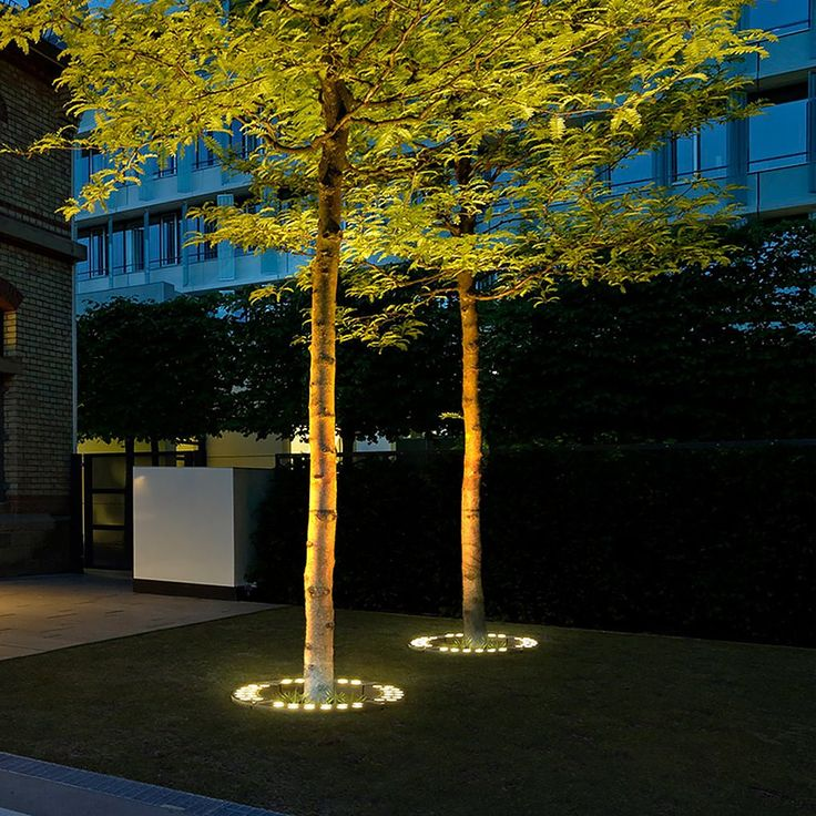 LED Outdoor Spotlight for Tree and Garden Lighting | Danvora
