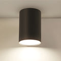 Modern LED Cylinder Ceiling Light Fixture | Norvexi