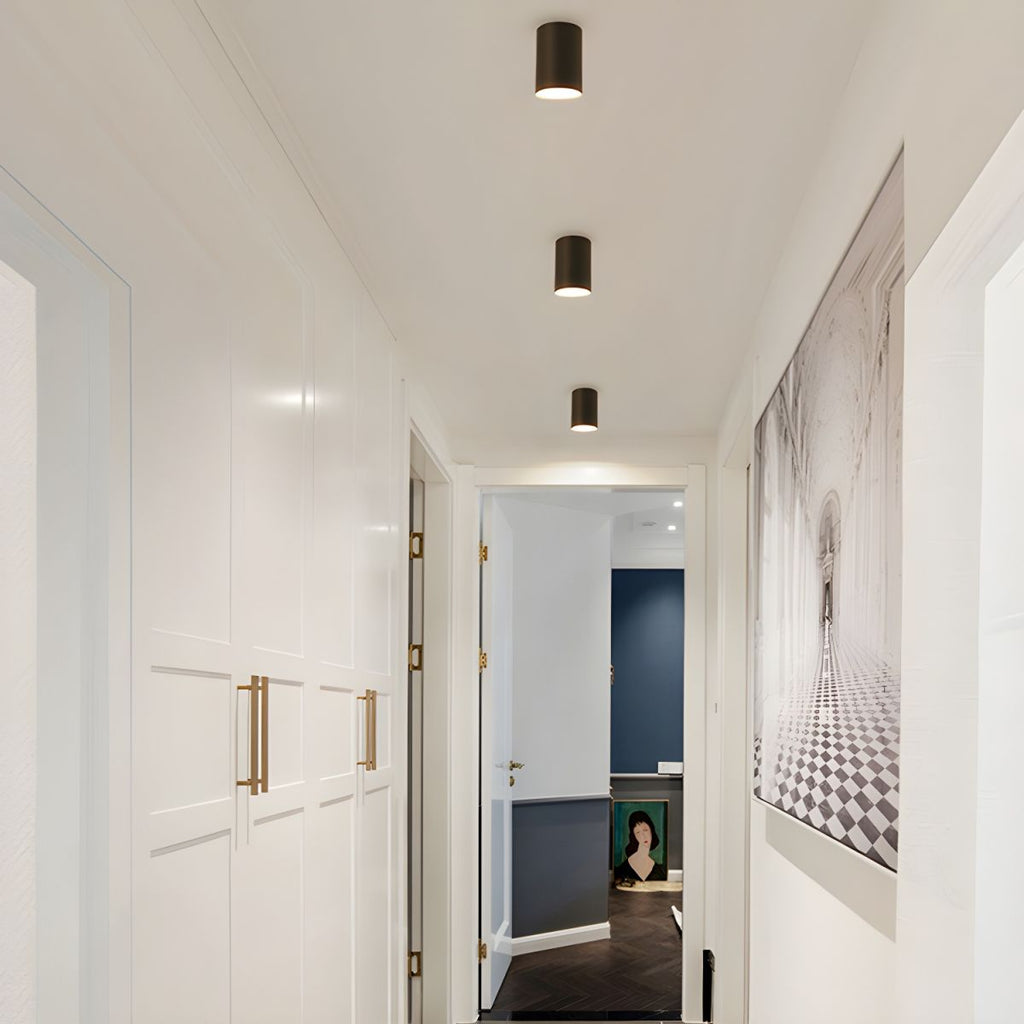 Modern LED Cylinder Ceiling Light Fixture | Norvexi