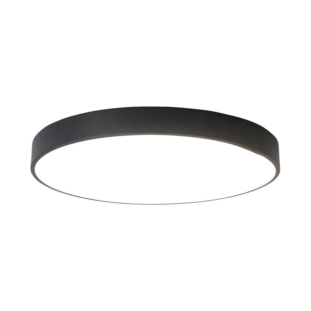 Modern LED Metal Ceiling Light Fixture | Zenvira