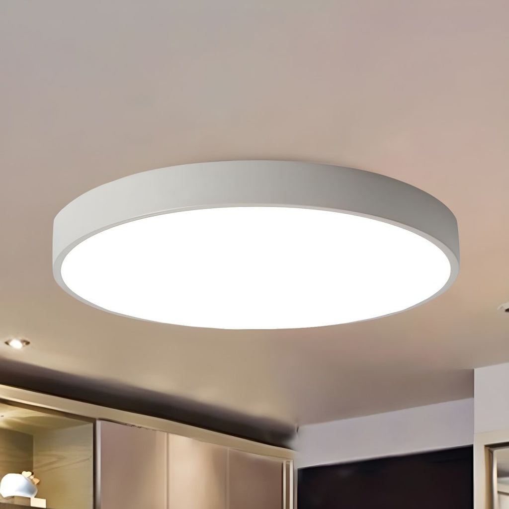 Modern LED Metal Ceiling Light Fixture | Zenvira