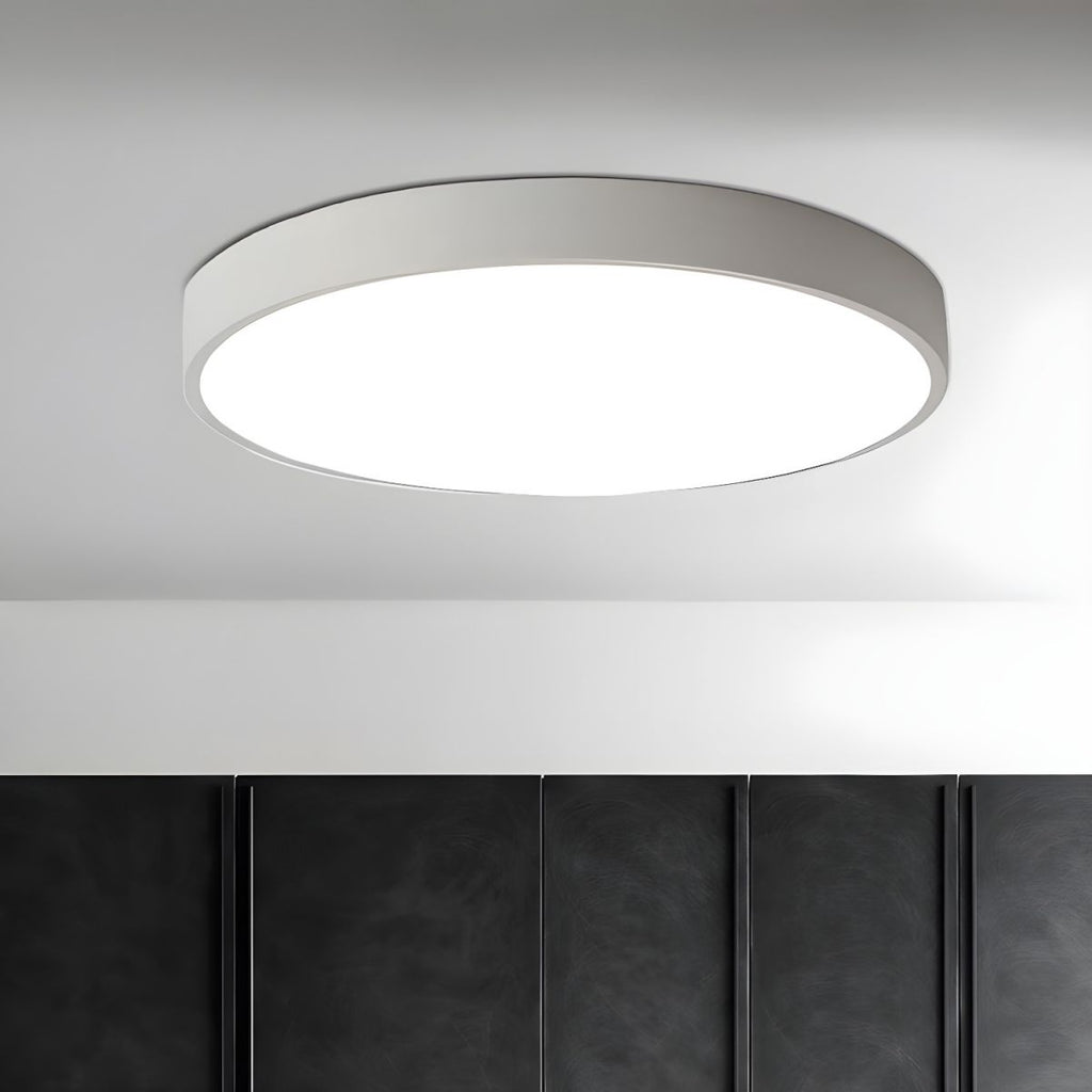 Modern LED Metal Ceiling Light Fixture | Zenvira