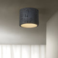 Modern Resin Nordic Ceiling Light Fixture | Lunser