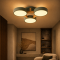 Nordic Acrylic Cluster Ceiling Light Fixture | Aurara