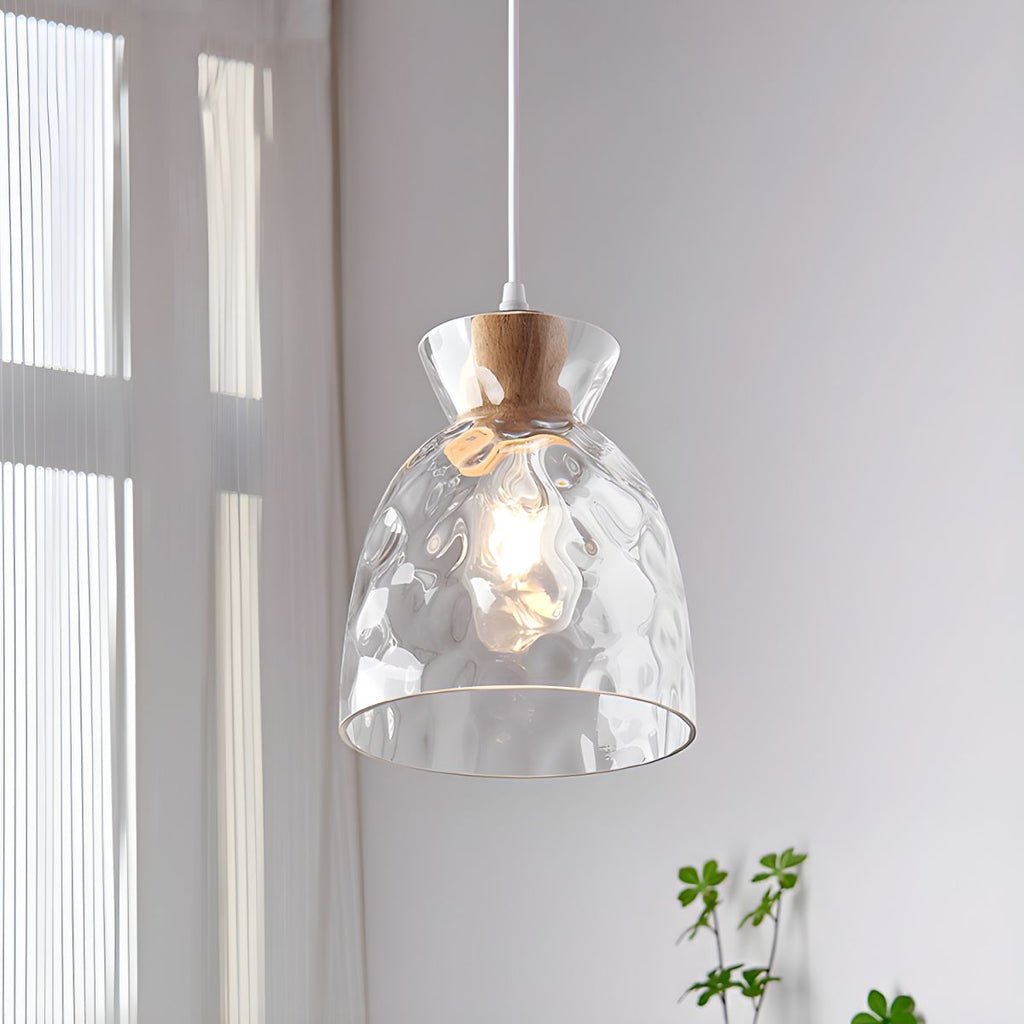 Nordic Clear Glass Pendant Light Adjustable Cord | Menora