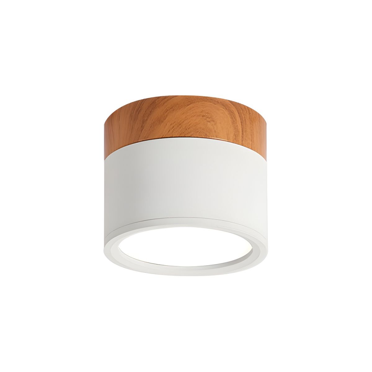 Nordic LED Metal Flush Mount Ceiling Light Fixture | Velisse