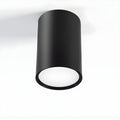 Nordic Metal LED Ceiling Light Fixture | Runetra