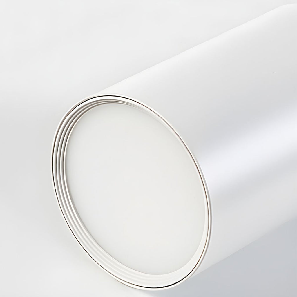 Nordic Metal LED Ceiling Light Fixture | Runetra