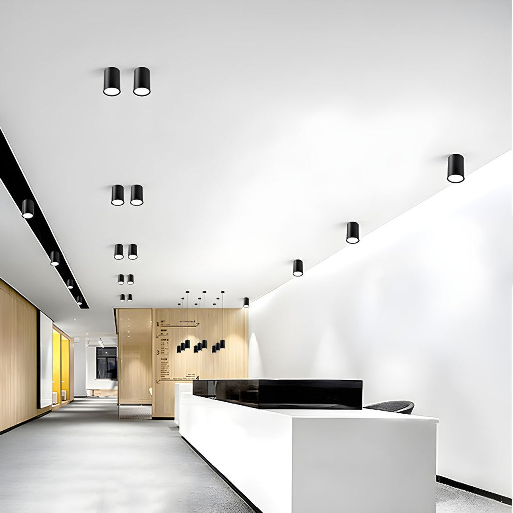 Nordic Metal LED Ceiling Light Fixture | Runetra