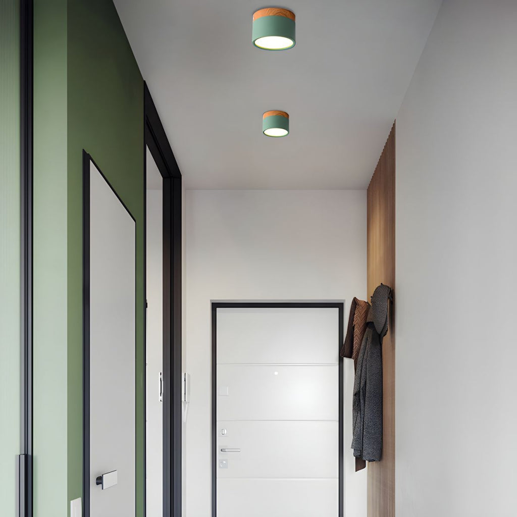 Nordic Modern LED Flush Mount Ceiling Light | Calenne
