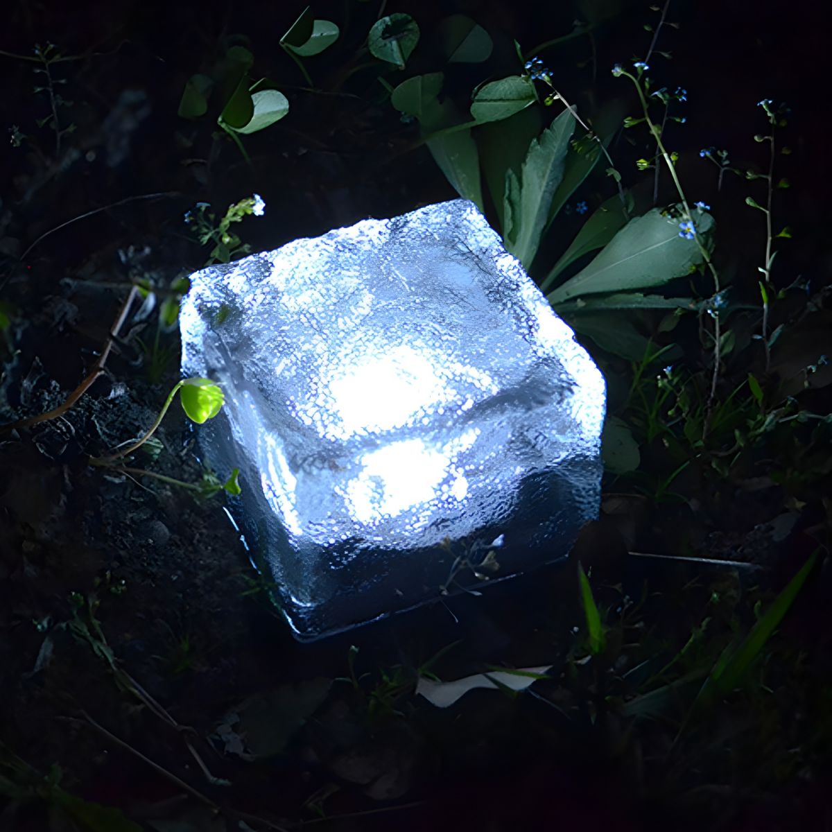 Solar Outdoor Ground Light Clear Glass Garden Lamp | Corlenix